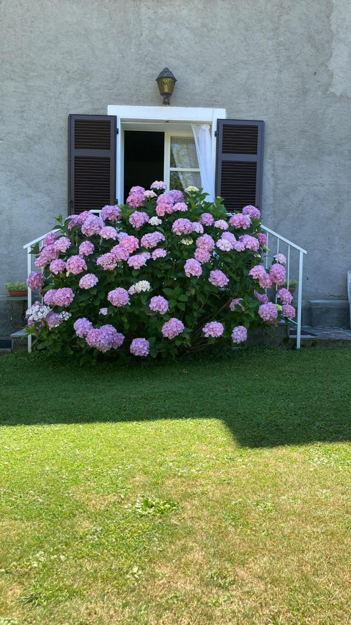 La Ca Del Bicc Villa Luino Exterior photo